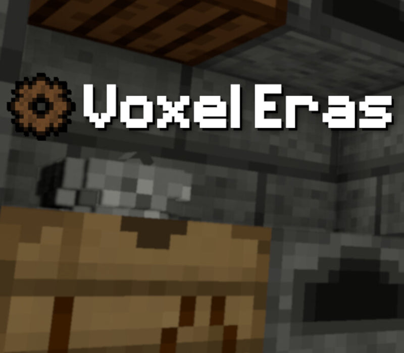 Voxel Eras