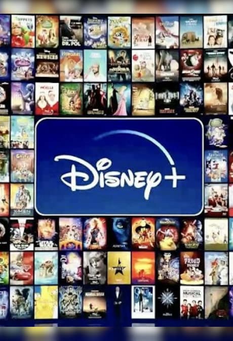 Disney Plus Basic 12 Months - Disney+ Key - GERMANY