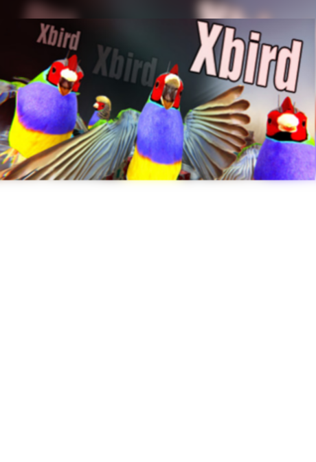 Xbird Steam Key GLOBAL