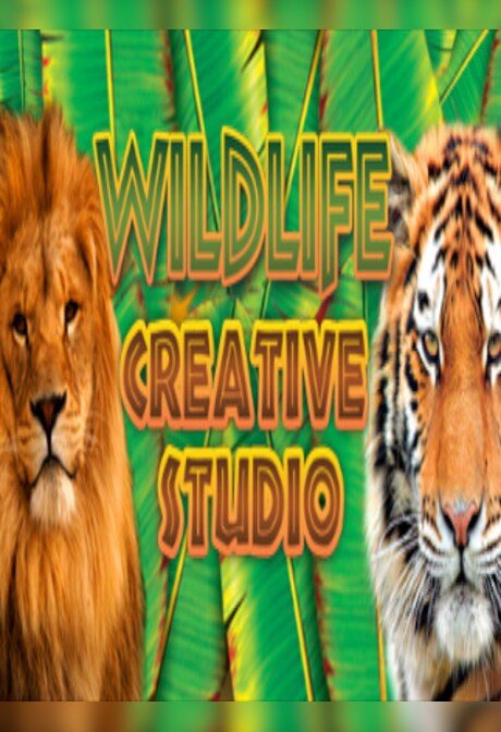 Wildlife Creative Studio Steam Key GLOBAL