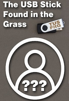 The USB Stick Found in the Grass (PC) - Steam Key - GLOBAL