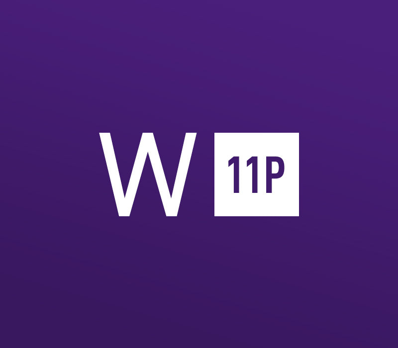 Windows 11 Professional OEM 5 Keys Bundle