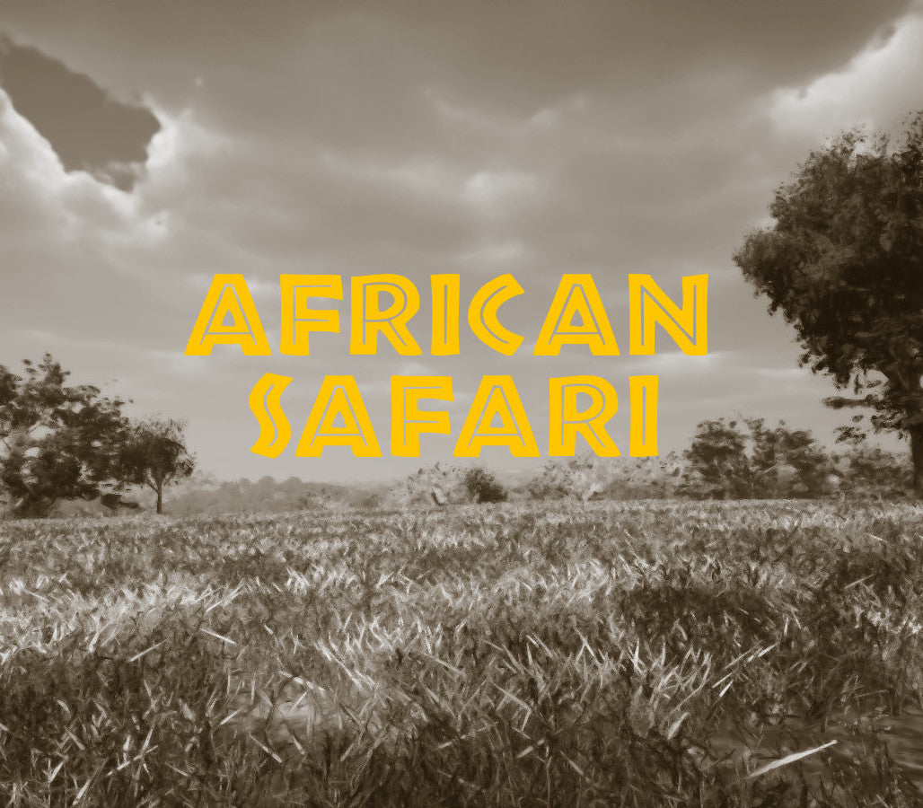 African Safari