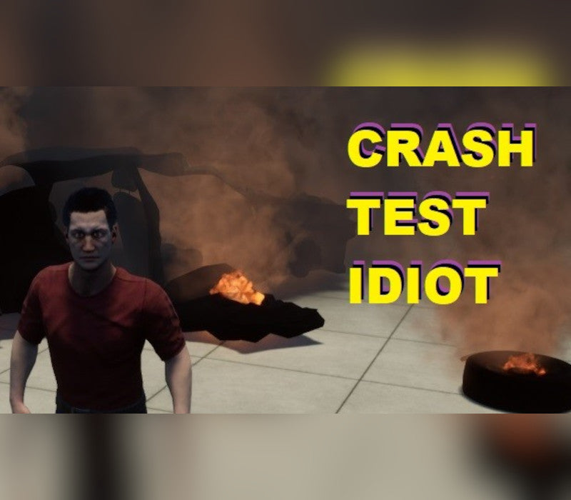 CRASH TEST IDIOT