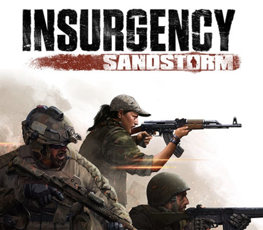 Insurgency: Sandstorm PS4/PS5 Access
