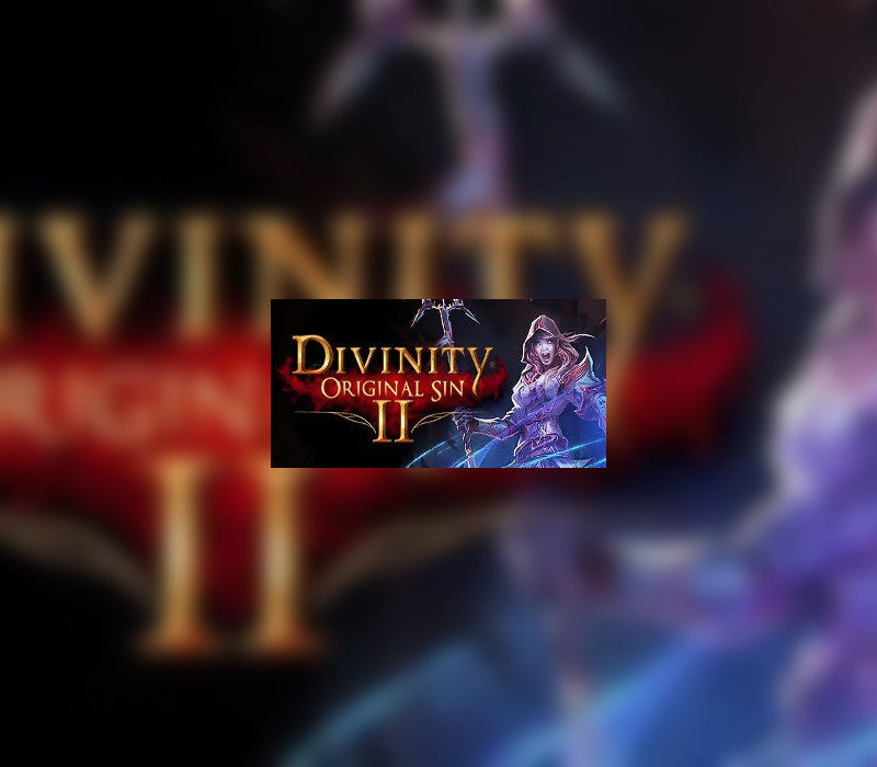 Divinity: Original Sin 2