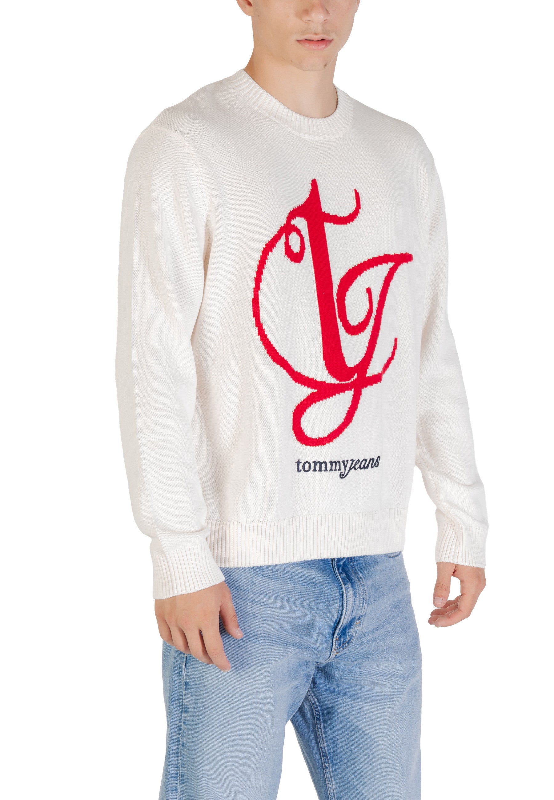 Tommy Hilfiger Jeans Pull homme — white