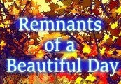 Remnants of a Beautiful Day