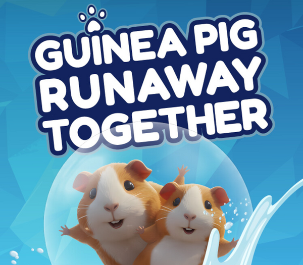 Guinea Pig Runaway Together