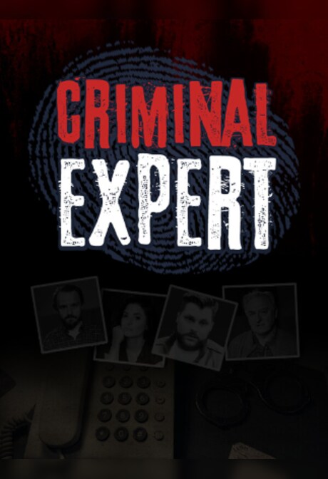 Criminal Expert (PC) - Steam Key - EUROPE