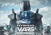 Hybrid Wars