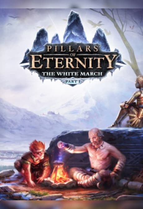 Pillars of Eternity - The White March Expansion Pass Steam Gift GLOBAL