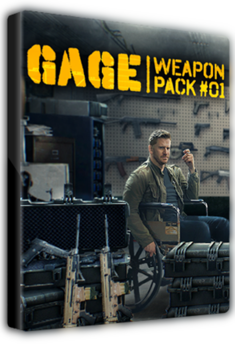PAYDAY 2: Gage Weapon Pack #01 Steam Gift GLOBAL