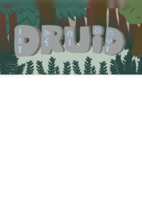 Druid Steam Key GLOBAL
