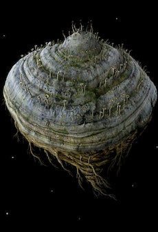 Samorost 2 (PC) - Steam Key - GLOBAL