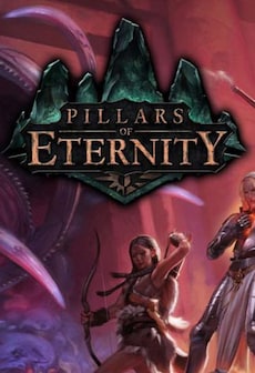 Pillars of Eternity | Hero Edition (PC) - Steam Key - CIS