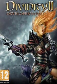Divinity II: Developer's Cut Steam Key GLOBAL