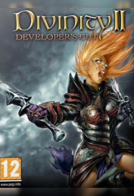 Divinity II: Developer's Cut Steam Gift EUROPE