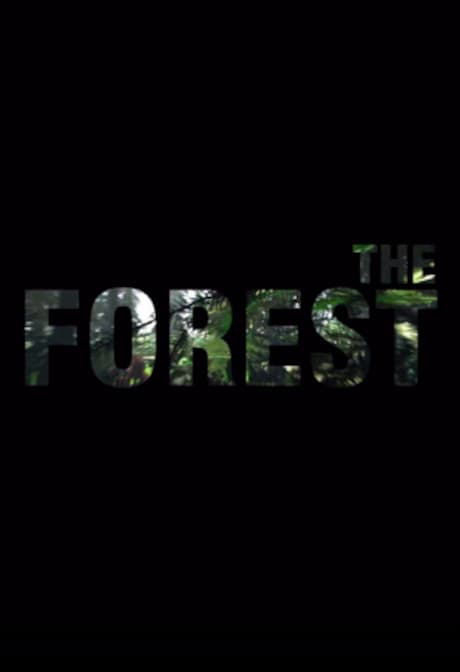 The Forest (PC) - Steam Gift - TURKEY