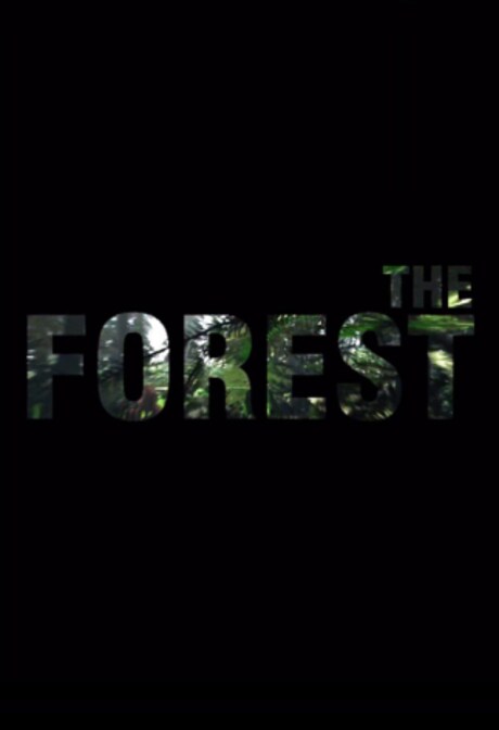 The Forest (PC) - Steam Gift - LATAM