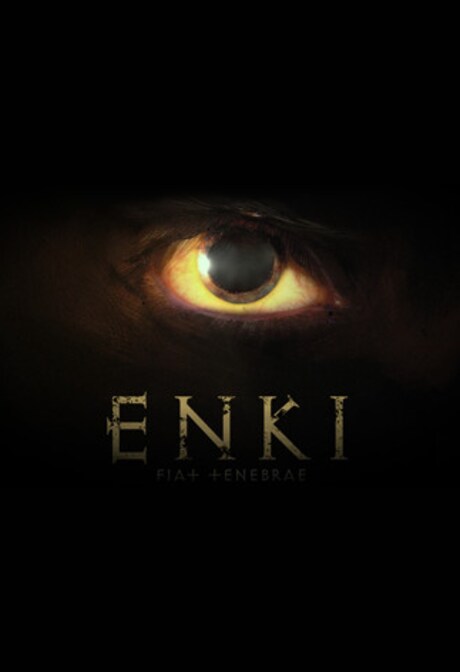 Enki Steam Gift GLOBAL