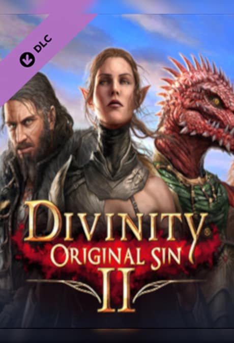 Divinity: Original Sin 2 - Divine Ascension Steam Gift GLOBAL