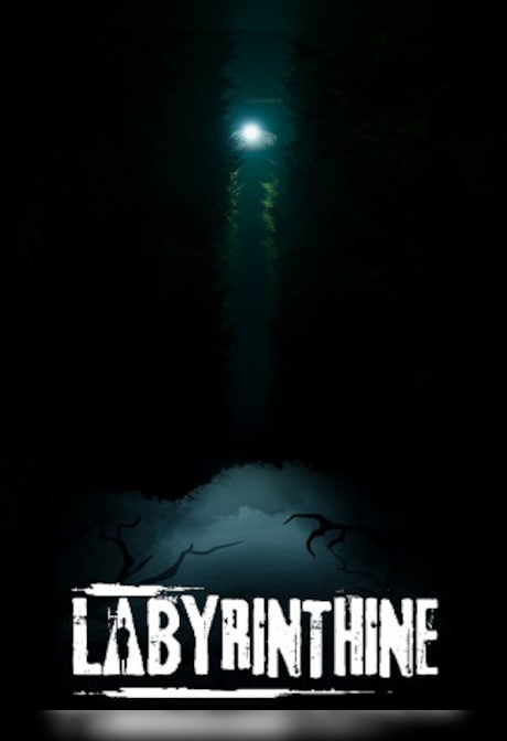 Labyrinthine (PC) - Steam Key - EUROPE