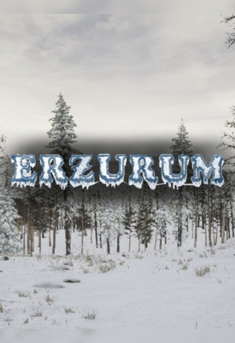 Erzurum (PC) - Steam Gift - GLOBAL