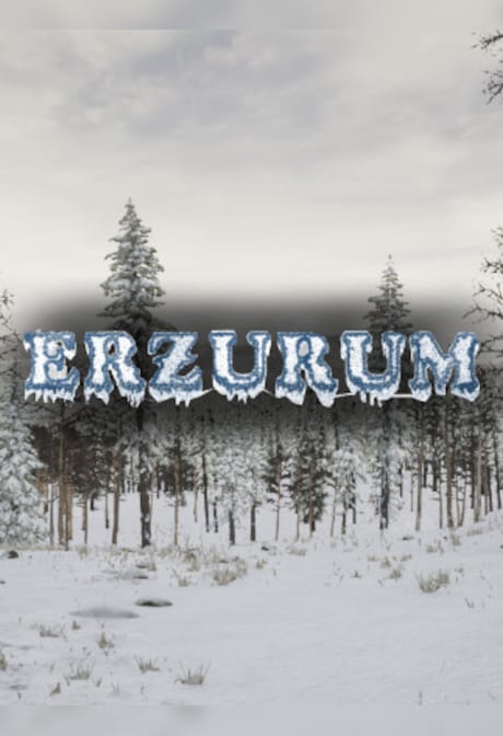 Erzurum (PC) - Steam Gift - EUROPE