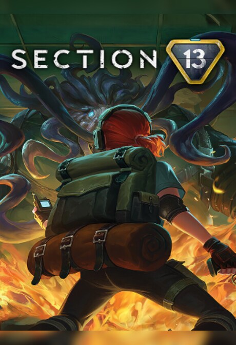 Section 13 (PC) - Steam Key - GLOBAL