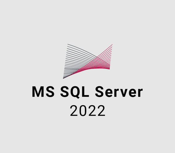 MS SQL Server 2022