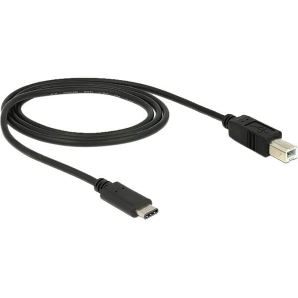 DeLOCK USB 2.0 câble, USB-C Stecker > USB-B Stecker - DeLOCK - vue 2