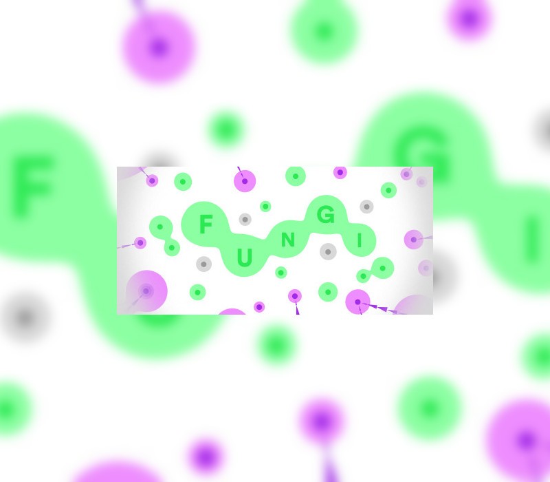 FUNGI