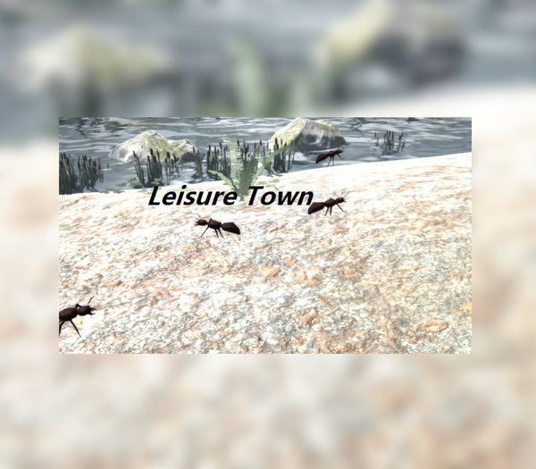 Leisure Town