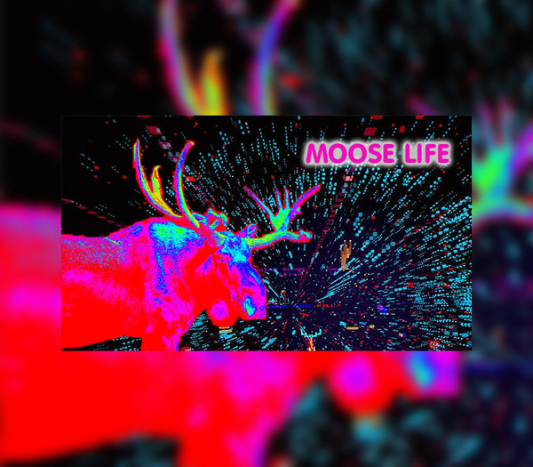 Moose Life