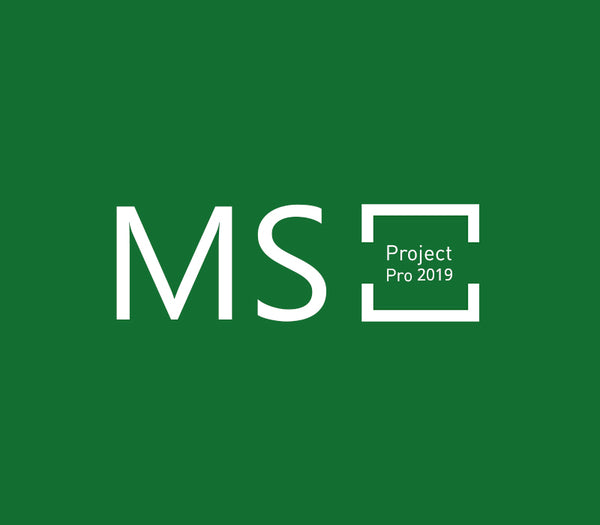 MS Project Professional 2019 Bind