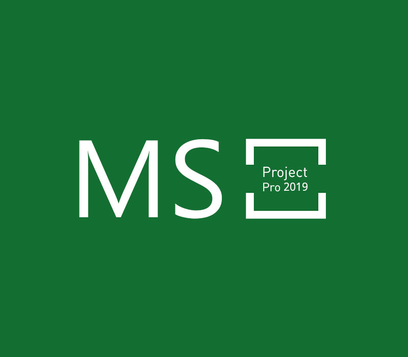 MS Project Professional 2019