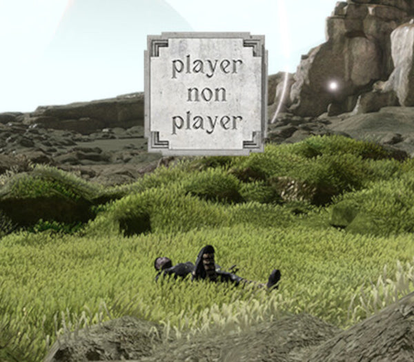 Player Non Player