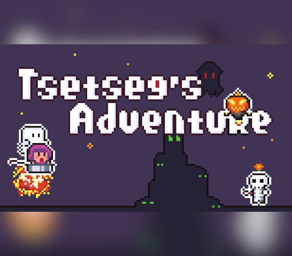Tsetseg's Adventure