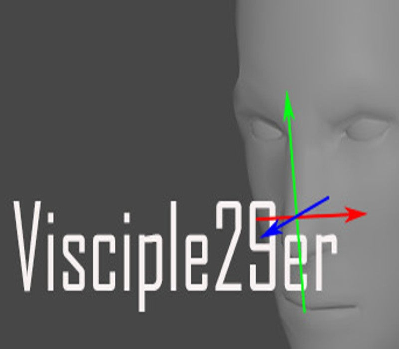 Visciple29er