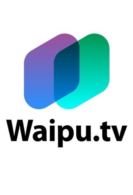 WaipuTV Subscription | Perfect Plus 12 Months - waipu.tv Key - GERMANY