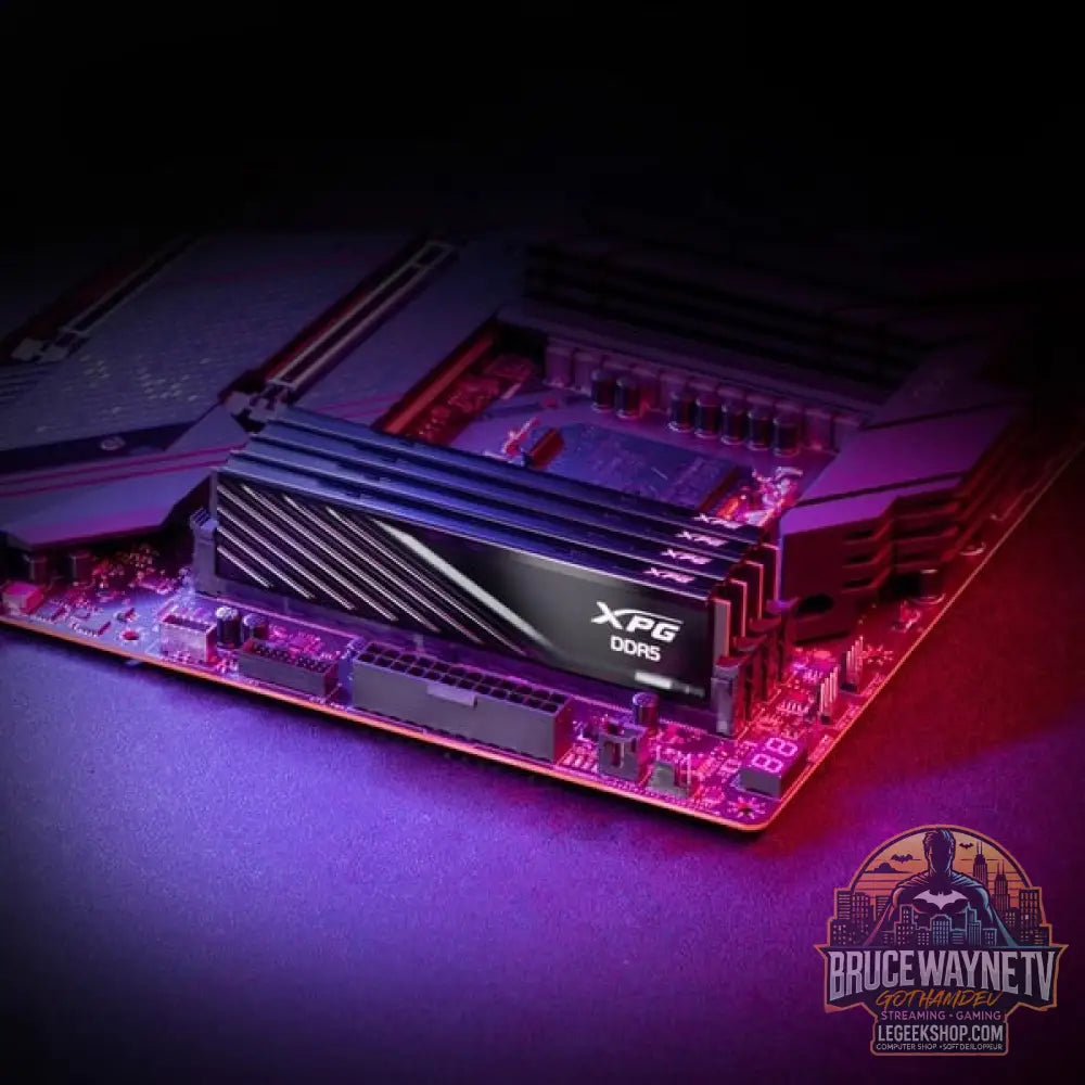 ADATA DIMM 32 GB DDR5-5600 (2x 16 GB) Dual-Kit, Arbeitsspeicher - ADATA - vue 7
