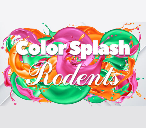 Color Splash: Rodents