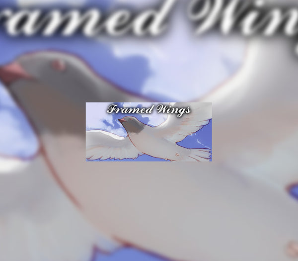 Framed Wings