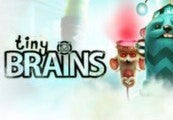 Tiny Brains