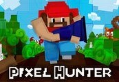 Pixel Hunter