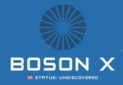 Boson X