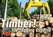 Timber! The Logging Experts