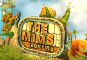 The Mims Beginning