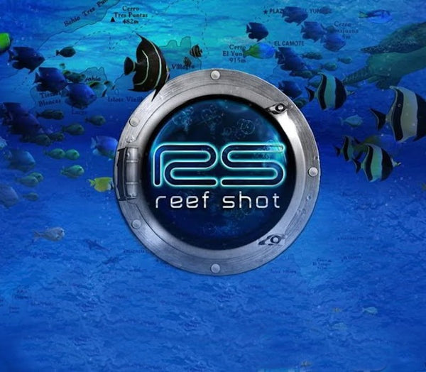 Reef Shot